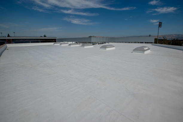Best Emergency Roof Repair Services  in Newark, DE